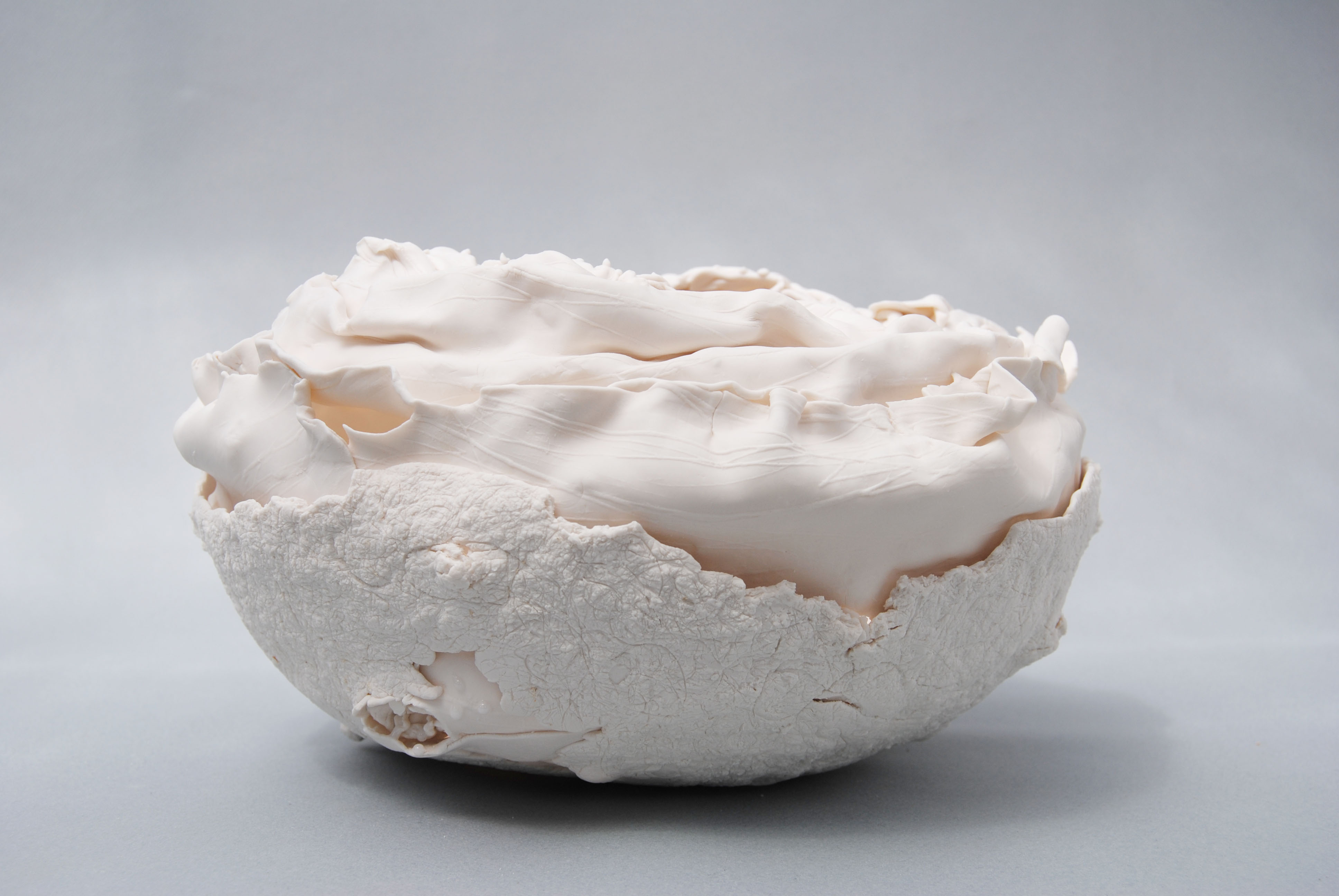 Eclosion métisse 1 copie